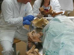 Workshop Pics