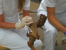 Workshop Pics